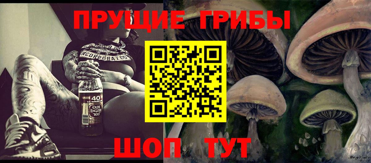 Благовещенск  Псилоцибиновые грибы Psilocybine cubensis  Вход с VPN 